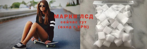 apvp Бородино