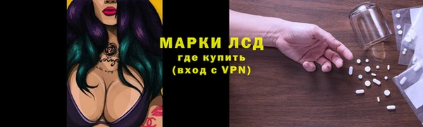 apvp Бородино