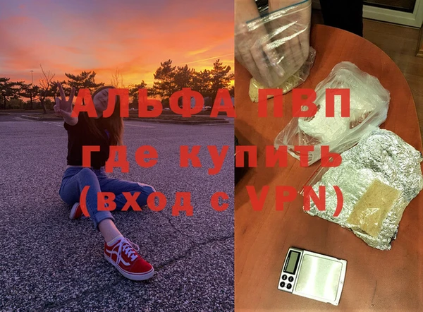 индика Верея