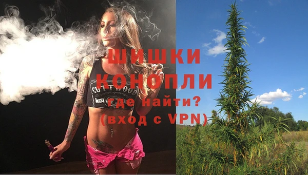 apvp Бородино