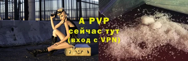 индика Верея
